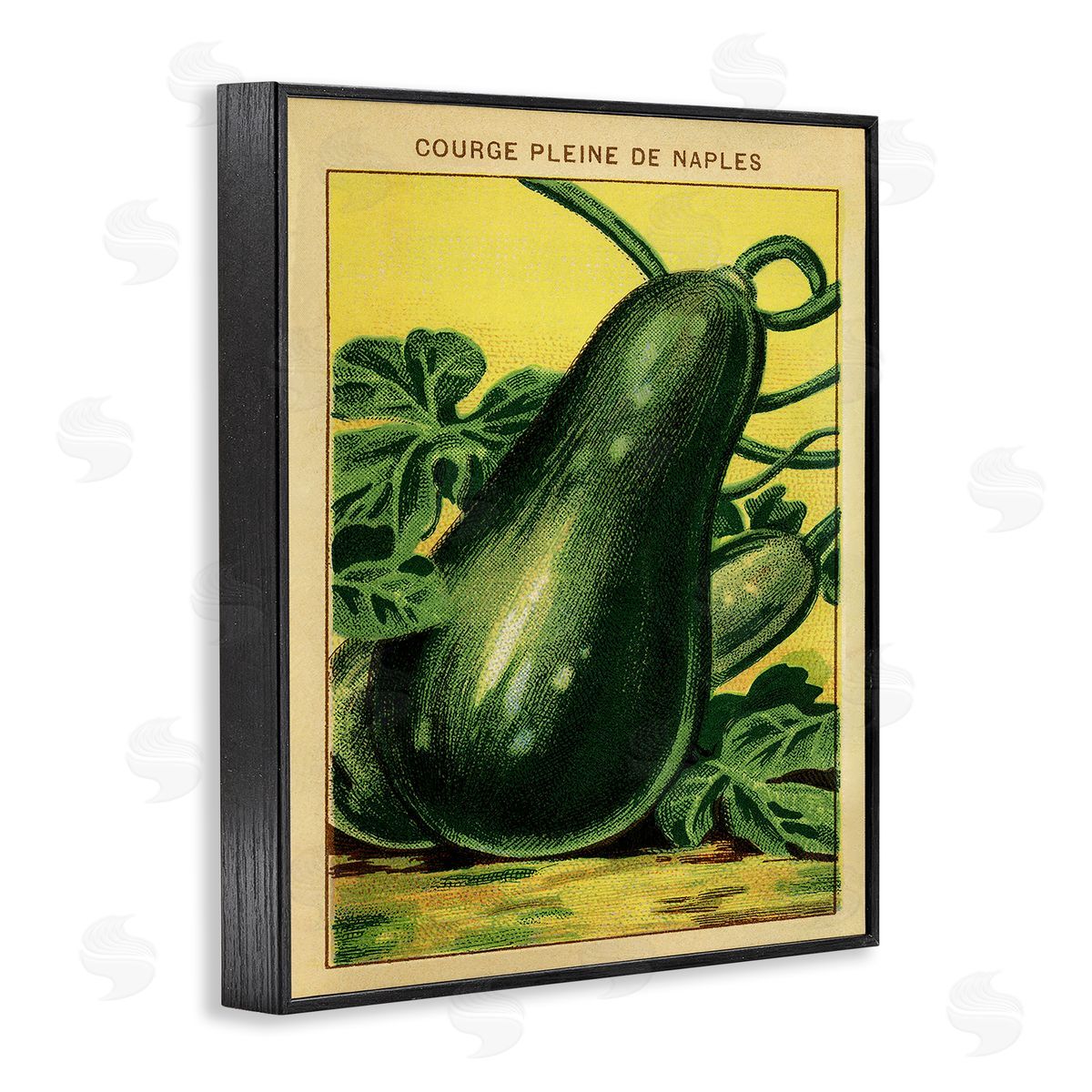 Country Vintage Squash Black Frame Print Wall Art, Home Decor by Stupell Studio