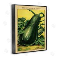 Stupell Studio | Country Vintage Squash