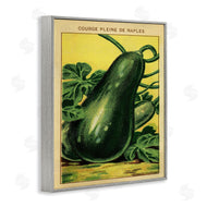 Stupell Studio | Country Vintage Squash