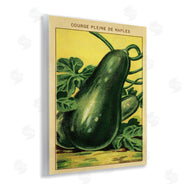 Stupell Studio | Country Vintage Squash
