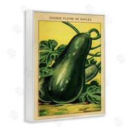Stupell Studio | Country Vintage Squash