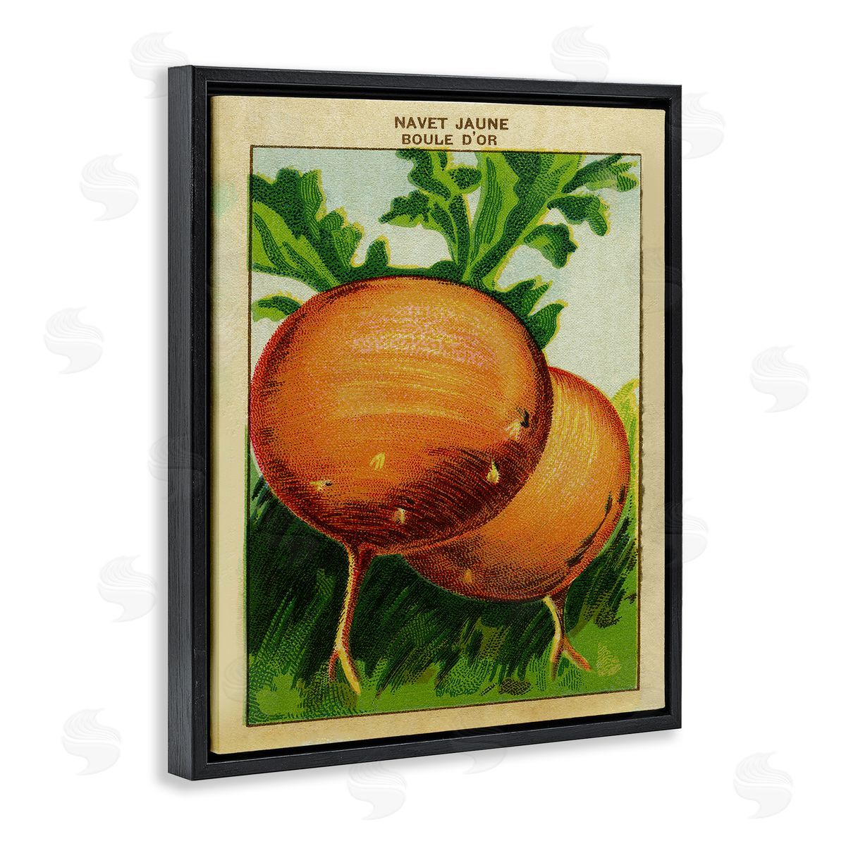 Country Vintage Onions Black Floating Frame Canvas Wall Art, Home Decor by Stupell Studio
