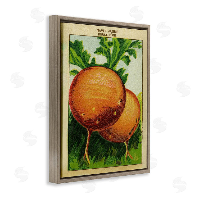Stupell Studio | Country Vintage Onions