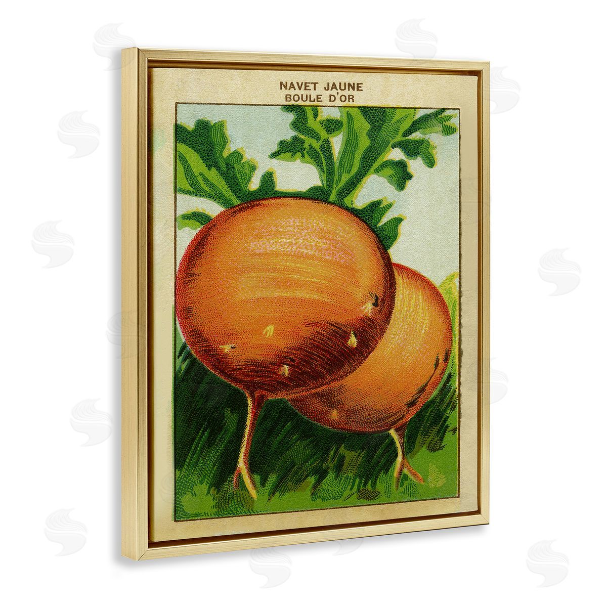 Country Vintage Onions Gold Floating Frame Canvas Wall Art, Home Decor by Stupell Studio