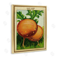 Stupell Studio | Country Vintage Onions