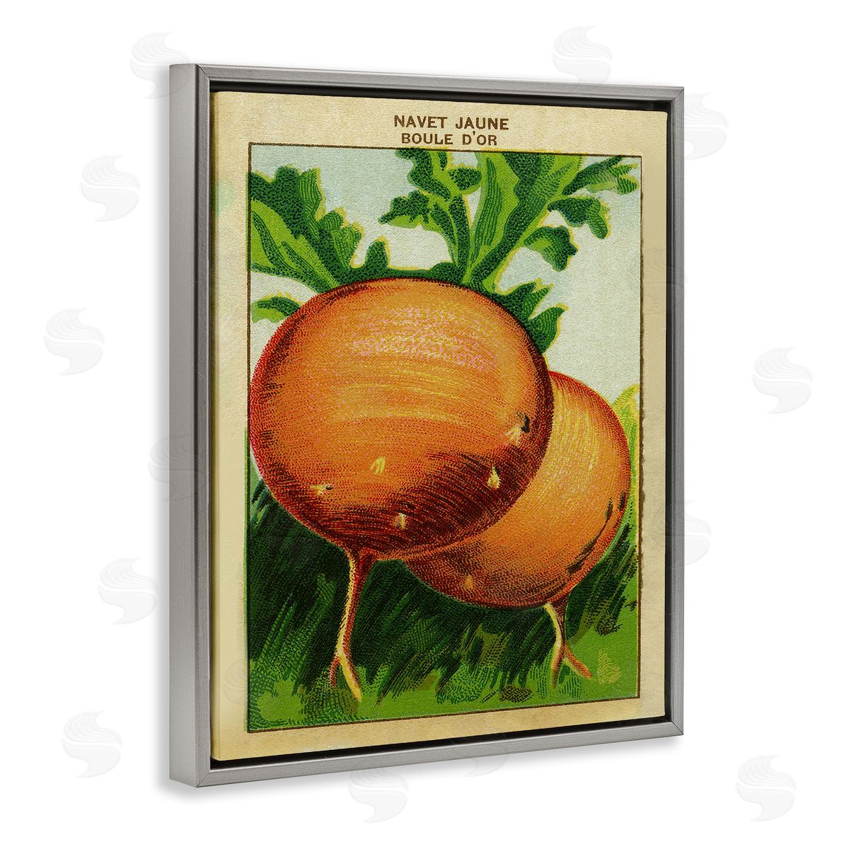 Country Vintage Onions Grey Floating Frame Canvas Wall Art, Home Decor by Stupell Studio
