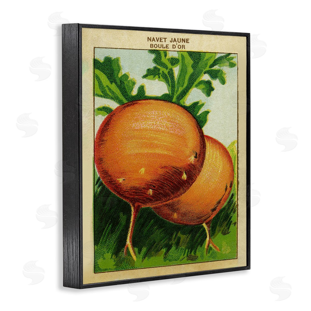 Country Vintage Onions Black Frame Print Wall Art, Home Decor by Stupell Studio