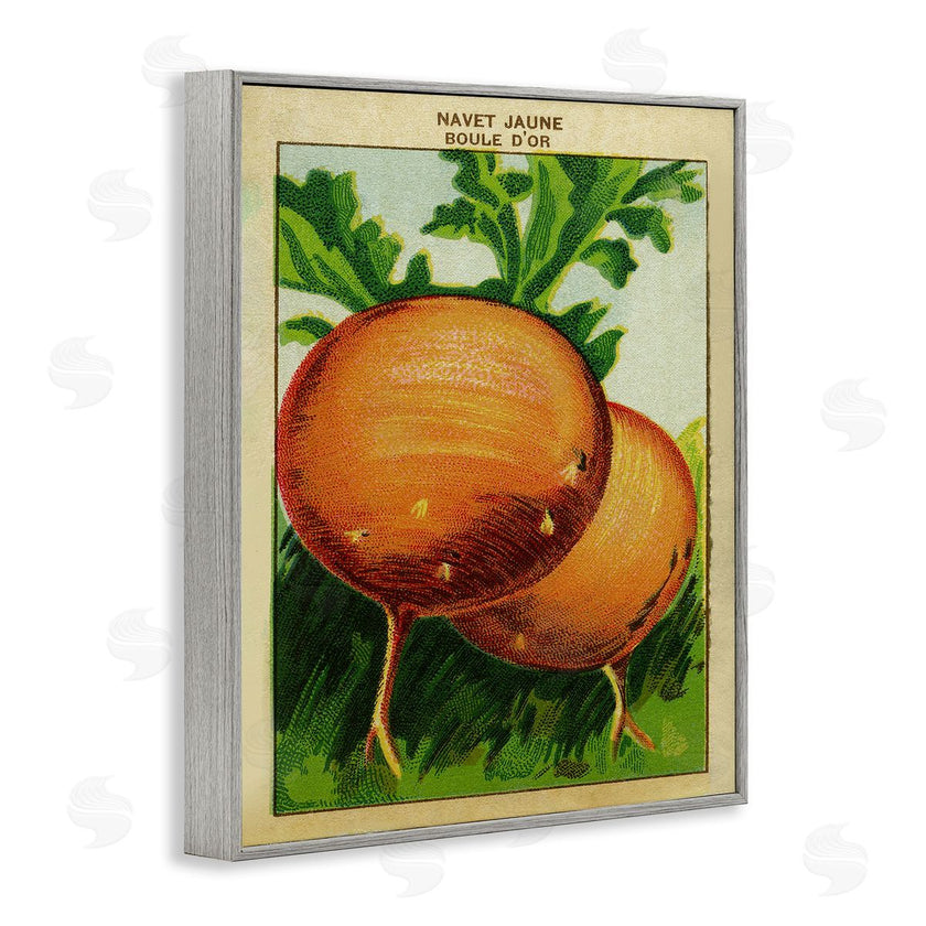 Stupell Studio | Country Vintage Onions