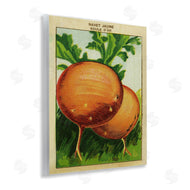 Stupell Studio | Country Vintage Onions