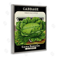 Stupell Studio | Vintage Garden Cabbage
