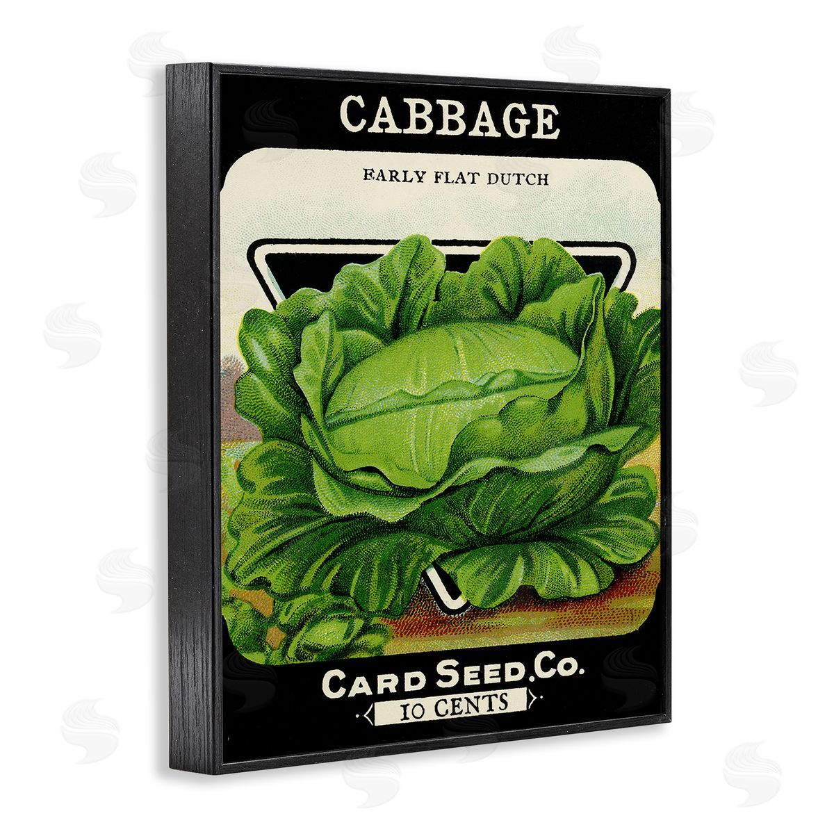 Vintage Garden Cabbage Black Frame Print Wall Art, Home Decor by Stupell Studio