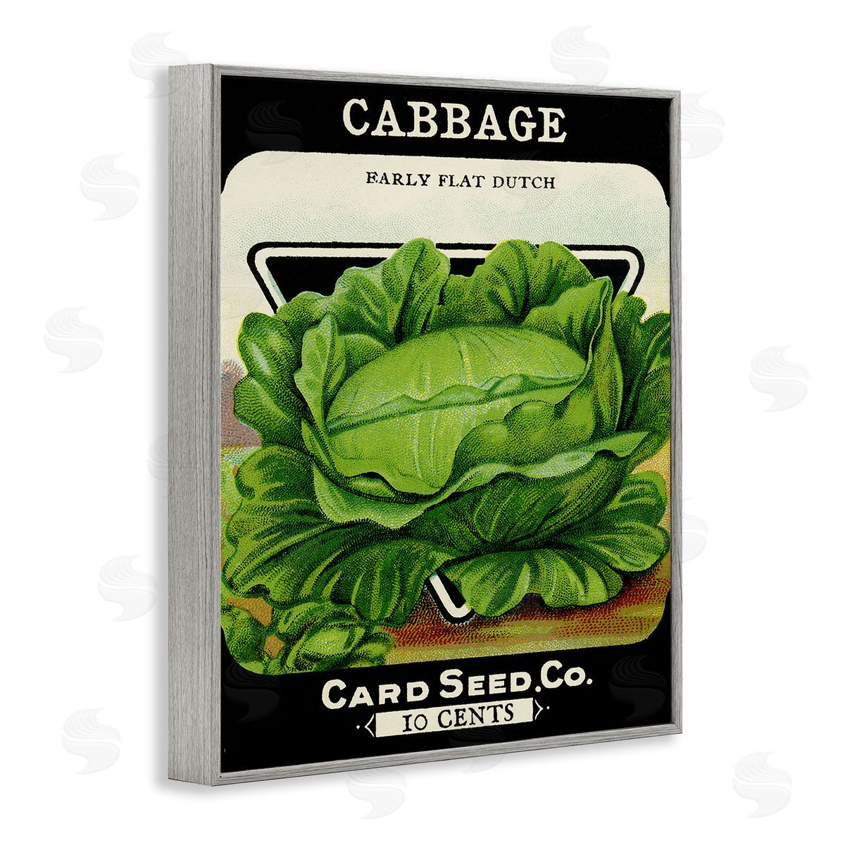 Vintage Garden Cabbage Grey Frame Print Wall Art, Home Decor by Stupell Studio