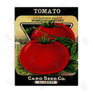 Stupell Studio | Vintage Garden Tomato