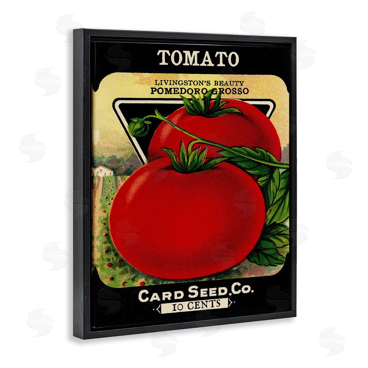 Vintage Garden Tomato Black Floating Frame Canvas Wall Art, Home Decor by Stupell Studio