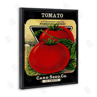 Stupell Studio | Vintage Garden Tomato