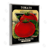 Stupell Studio | Vintage Garden Tomato