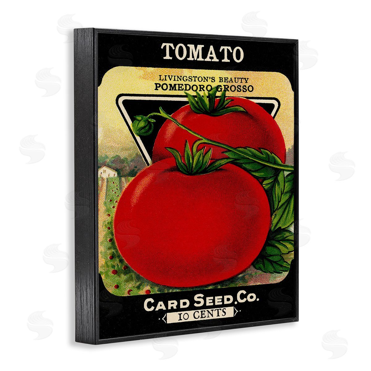 Vintage Garden Tomato Black Frame Print Wall Art, Home Decor by Stupell Studio