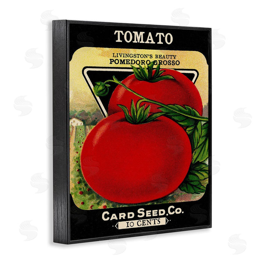 Stupell Studio | Vintage Garden Tomato