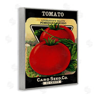 Stupell Studio | Vintage Garden Tomato