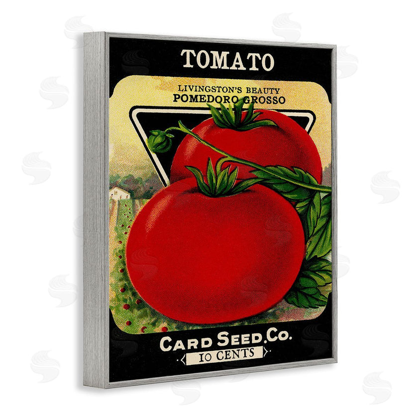 Stupell Studio | Vintage Garden Tomato