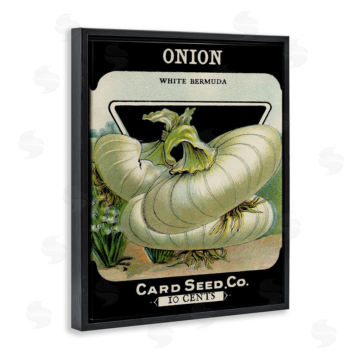 Vintage Garden Onion Black Floating Frame Canvas Wall Art, Home Decor by Stupell Studio