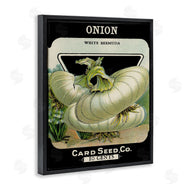 Stupell Studio | Vintage Garden Onion