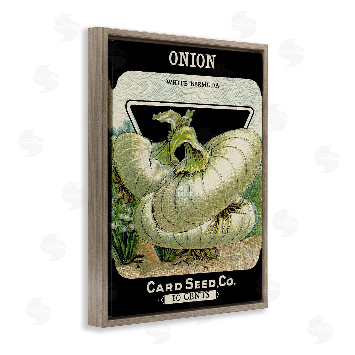 Vintage Garden Onion Brown Floating Frame Canvas Wall Art, Home Decor by Stupell Studio