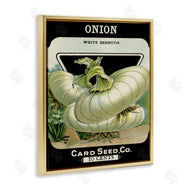 Stupell Studio | Vintage Garden Onion