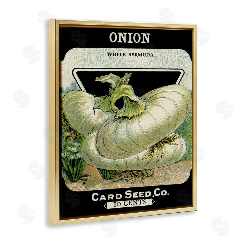 Stupell Studio | Vintage Garden Onion