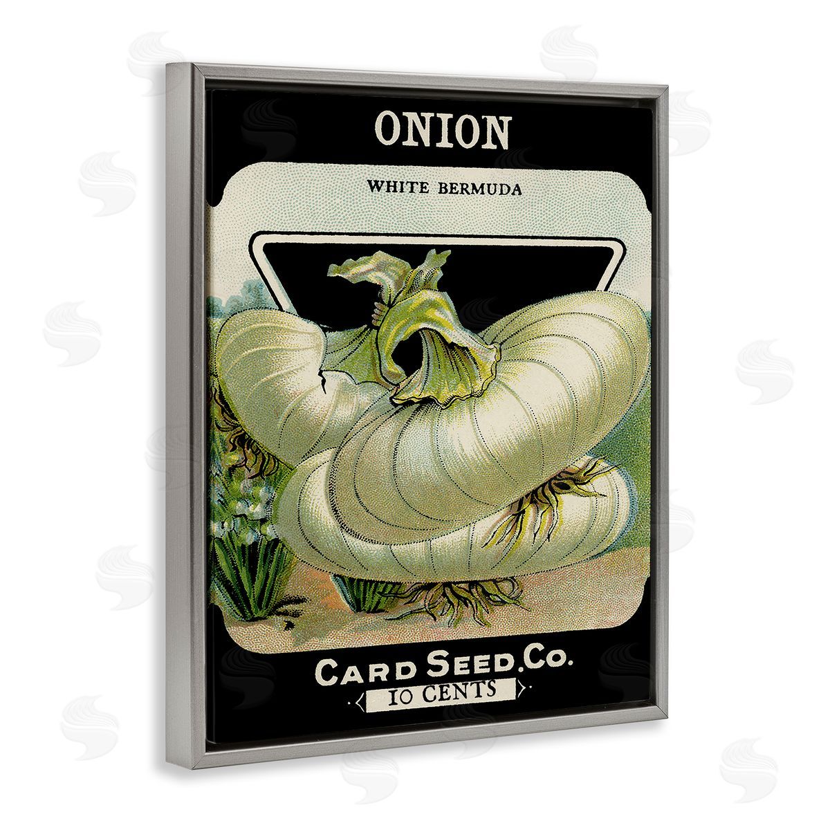 Vintage Garden Onion Grey Floating Frame Canvas Wall Art, Home Decor by Stupell Studio