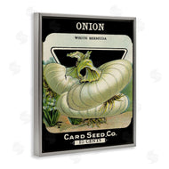Stupell Studio | Vintage Garden Onion