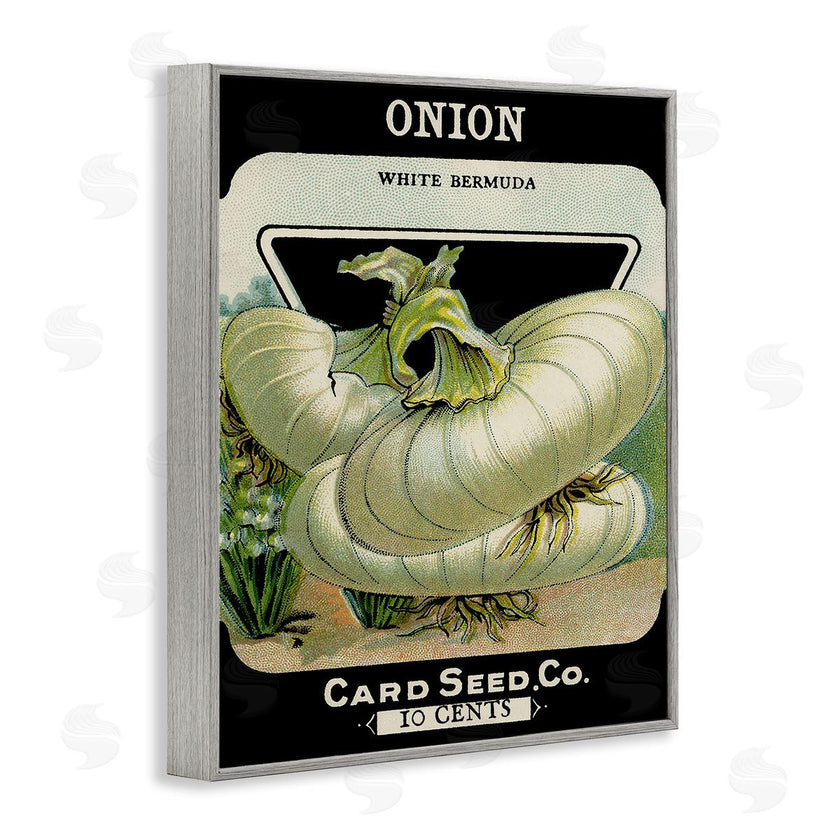 Stupell Studio | Vintage Garden Onion