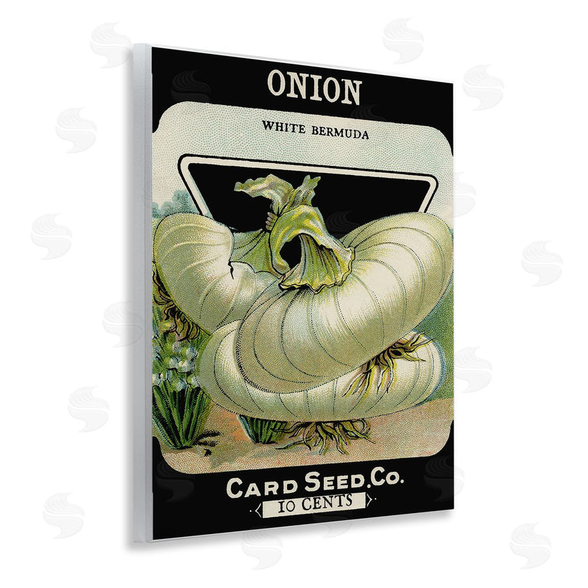 Stupell Studio | Vintage Garden Onion