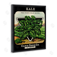 Stupell Studio | Vintage Garden Kale