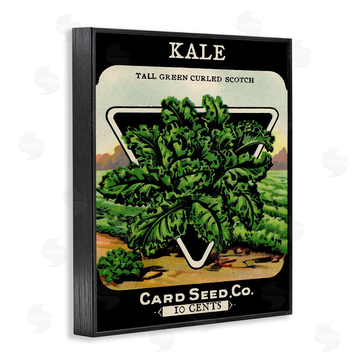 Vintage Garden Kale Black Frame Print Wall Art, Home Decor by Stupell Studio