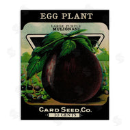 Stupell Studio | Vintage Garden Eggplant