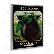 Stupell Studio | Vintage Garden Eggplant