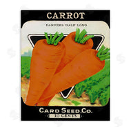 Stupell Studio | Vintage Garden Carrots