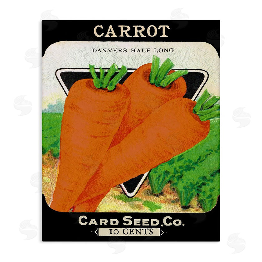 Stupell Studio | Vintage Garden Carrots