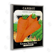 Stupell Studio | Vintage Garden Carrots