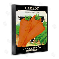 Stupell Studio | Vintage Garden Carrots