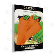 Stupell Studio | Vintage Garden Carrots