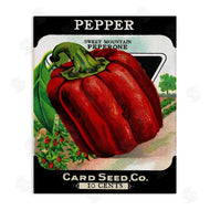 Stupell Studio | Vintage Garden Peppers
