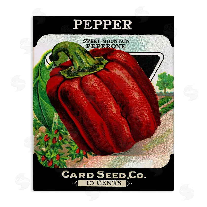 Stupell Studio | Vintage Garden Peppers