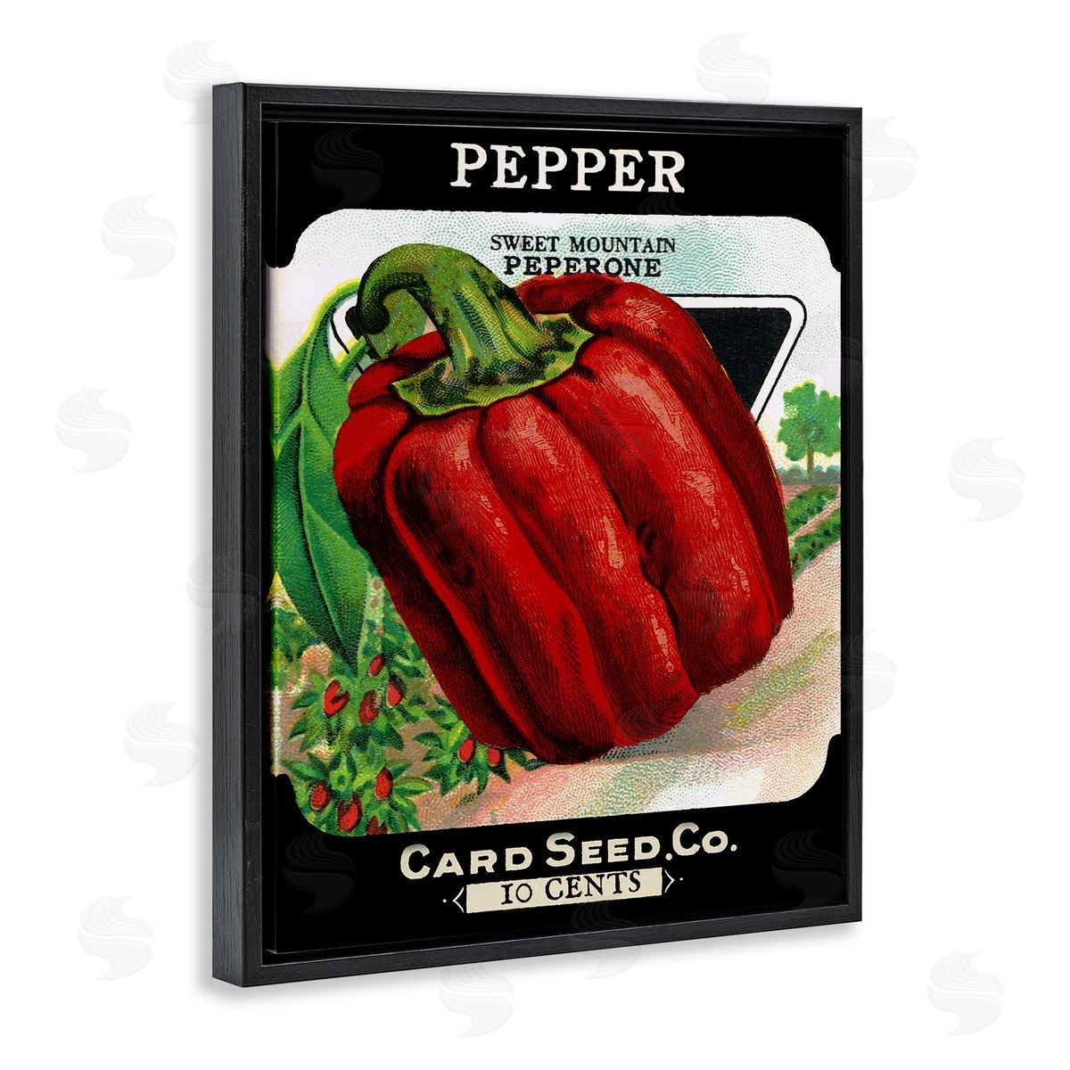 Vintage Garden Peppers Black Floating Frame Canvas Wall Art, Home Decor by Stupell Studio
