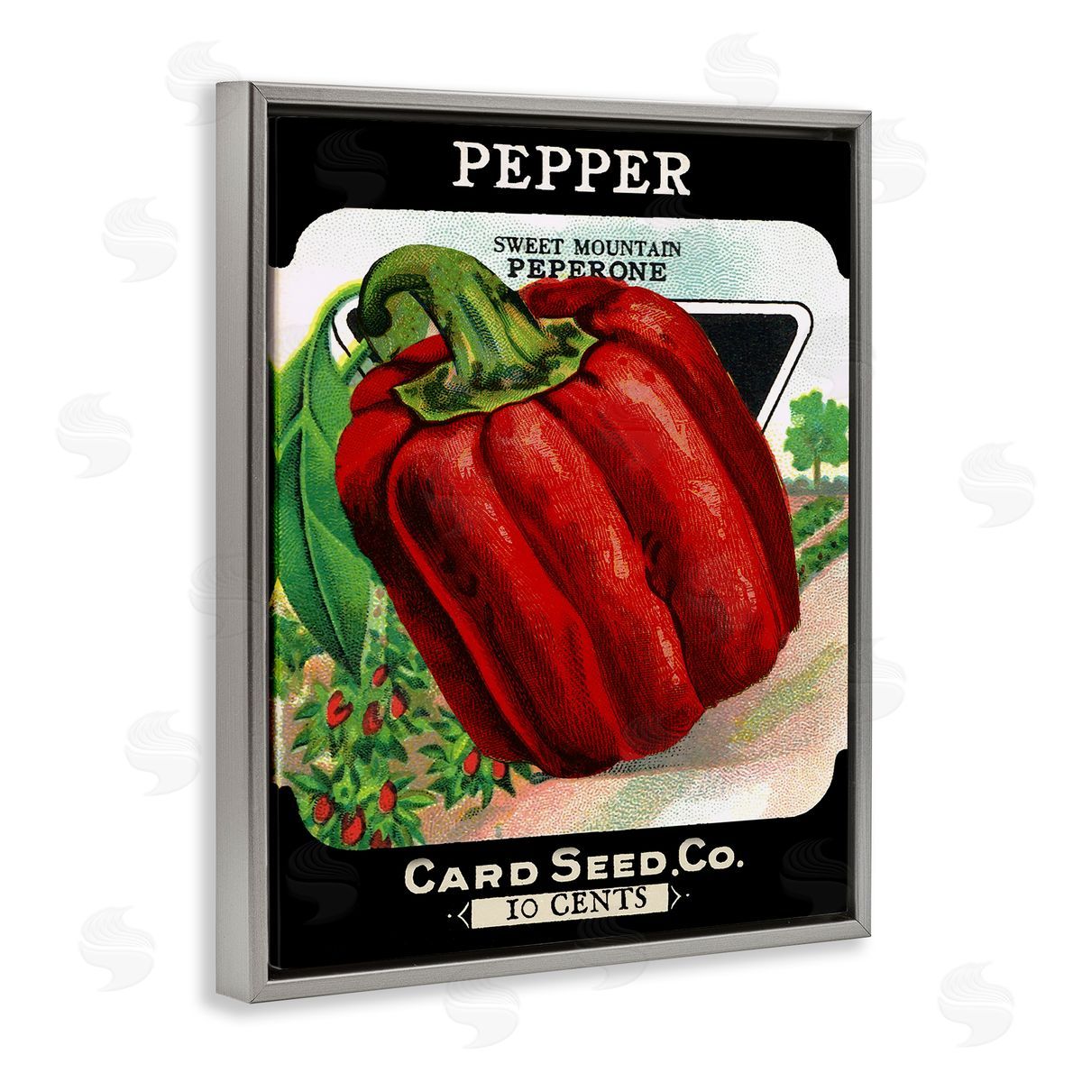 Vintage Garden Peppers Grey Floating Frame Canvas Wall Art, Home Decor by Stupell Studio
