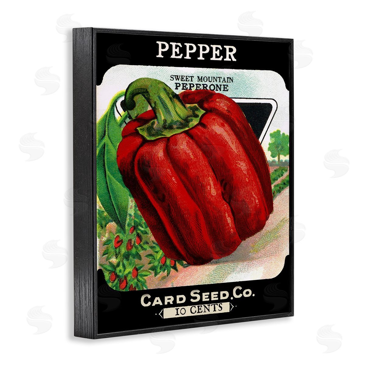 Vintage Garden Peppers Black Frame Print Wall Art, Home Decor by Stupell Studio