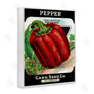Stupell Studio | Vintage Garden Peppers