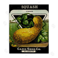 Stupell Studio | Vintage Garden Squash