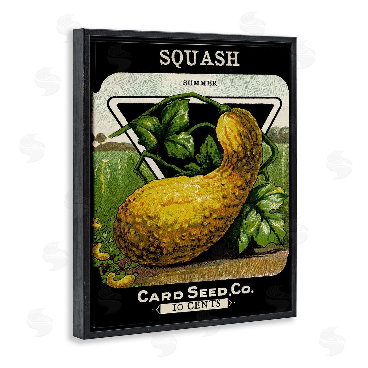 Vintage Garden Squash Black Floating Frame Canvas Wall Art, Home Decor by Stupell Studio